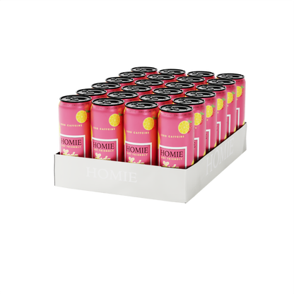 Wake Up Synbiotic Lemonade x 24 